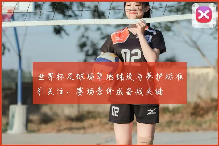 世界杯足球场草地铺设与养护标准引关注，赛场条件成备战关键