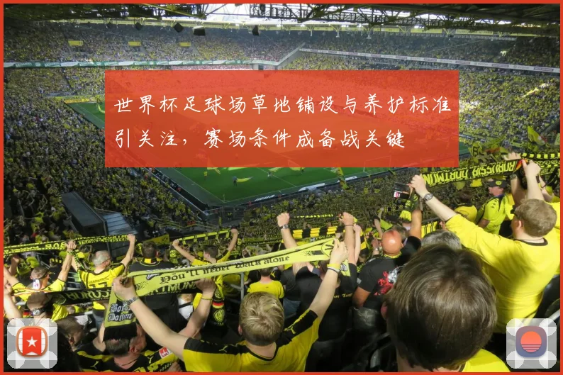 世界杯足球场草地铺设与养护标准引关注，赛场条件成备战关键